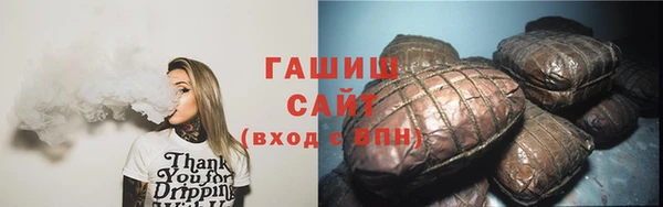 индика Алзамай