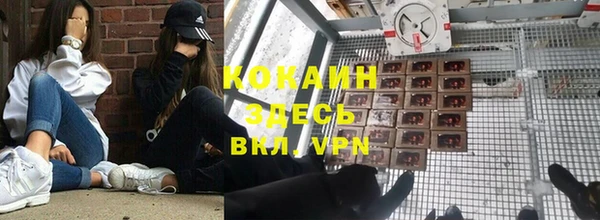 индика Алзамай