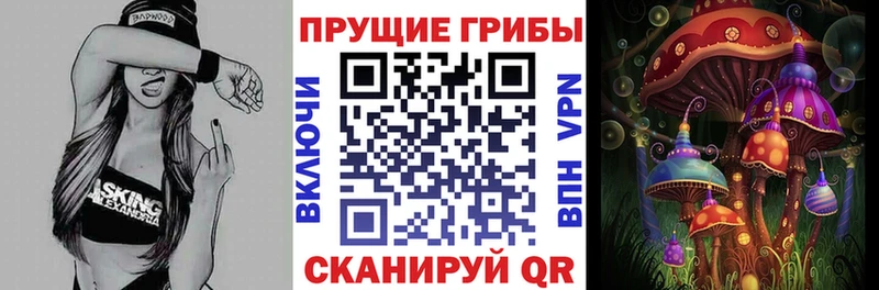 Псилоцибиновые грибы Cubensis  Чусовой 